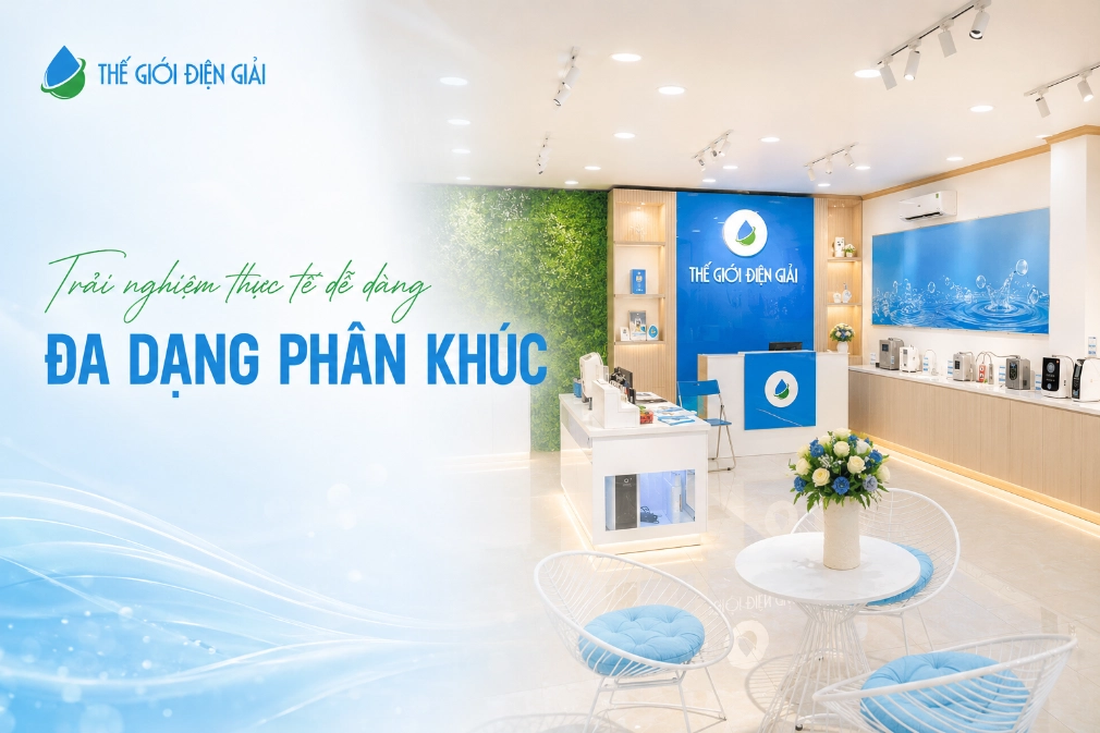 da-dang-phan-khuc-SOF-2026-01000