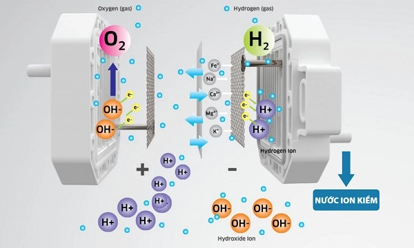 SOF-2025-01779 - Nước ion kiềm