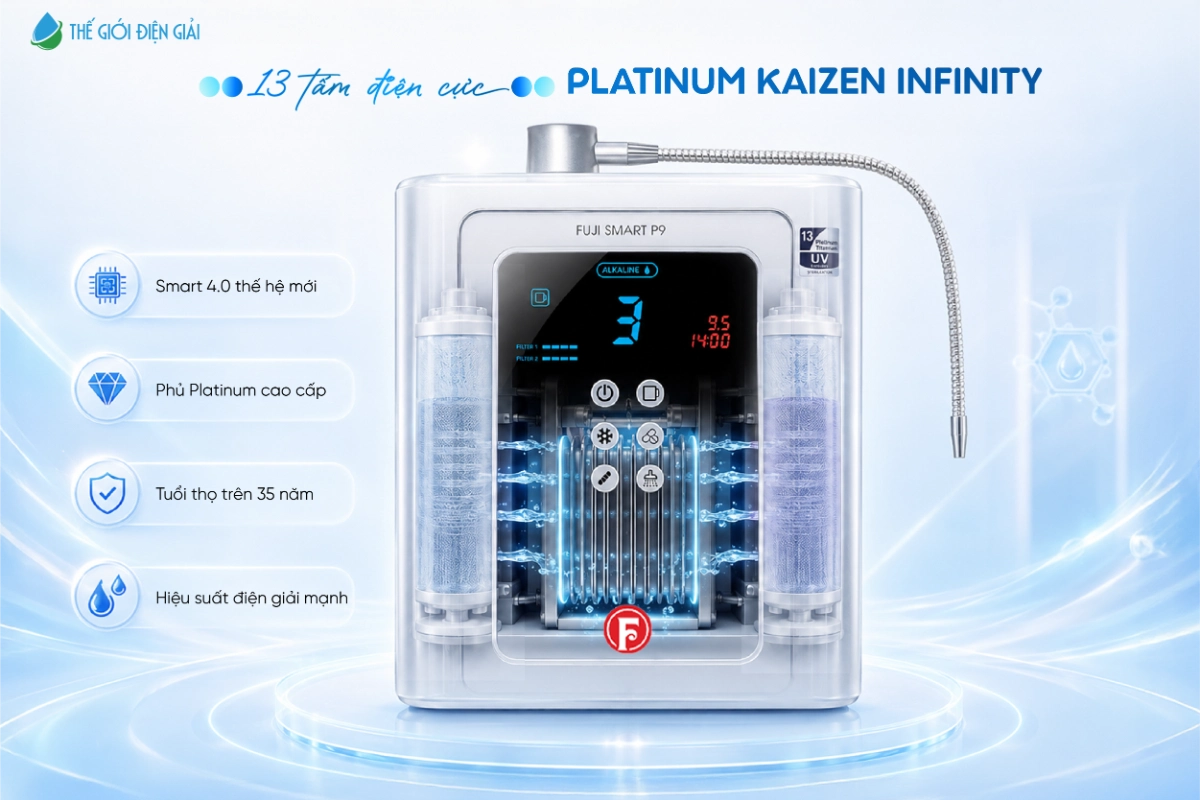 Fuji-Smart-P9-voi-13-tam-dien-cuc
