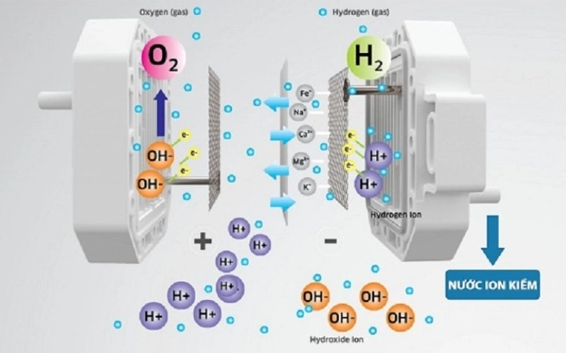 SOF-2025-01693 - các cấp độ ph (2)-2