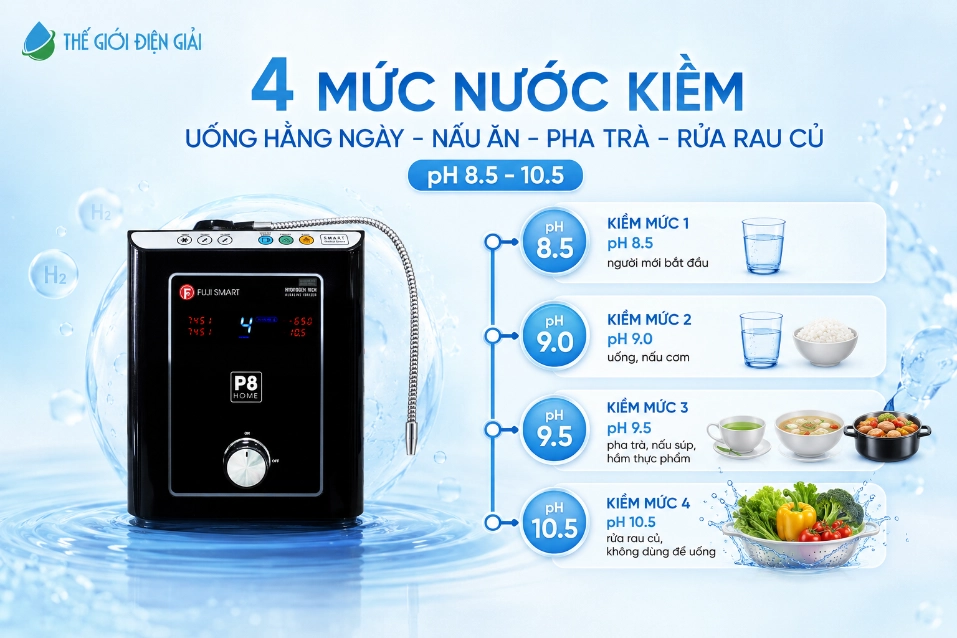 Nhom-4-muc-nuoc-kiem-cua-Fuji-Smart-P8-Home-phuc-vu-nhu-cau-uong-va-che-bien-thuc-pham