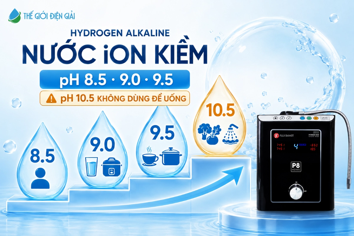 nuoc-ion-kiem-hydrogen-alkaline-fuji-smart-p8-home