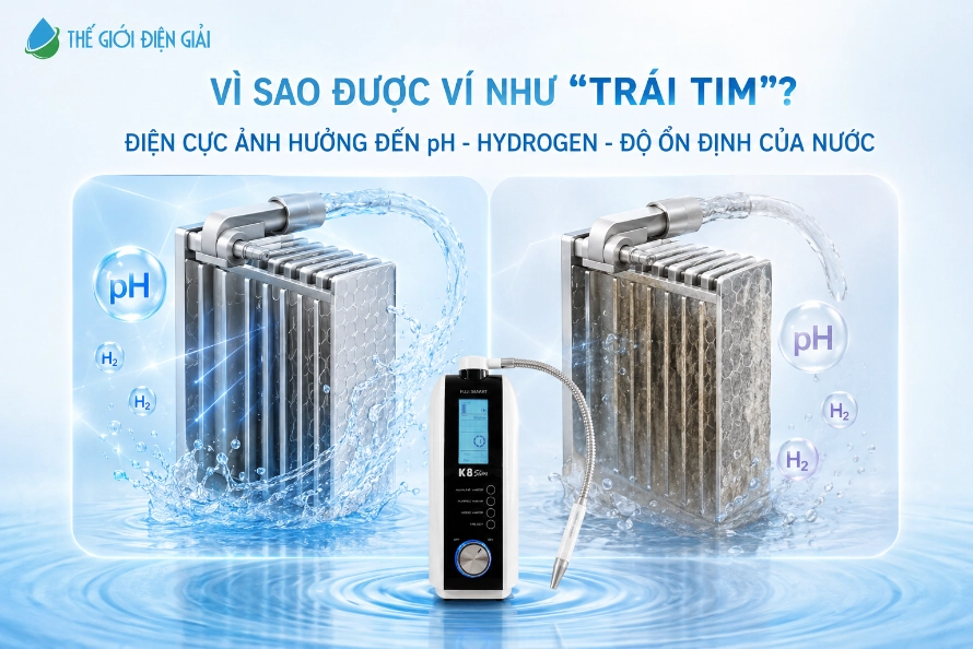 Tam-dien-cuc-anh-huong-truc-tiep