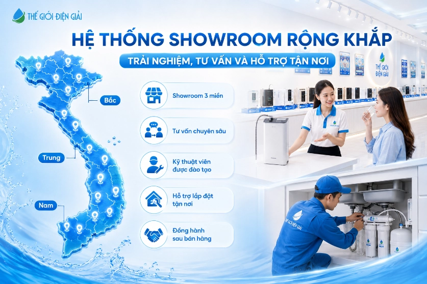 SOF-2026-0089048-He-thong-showroom-rong-khap