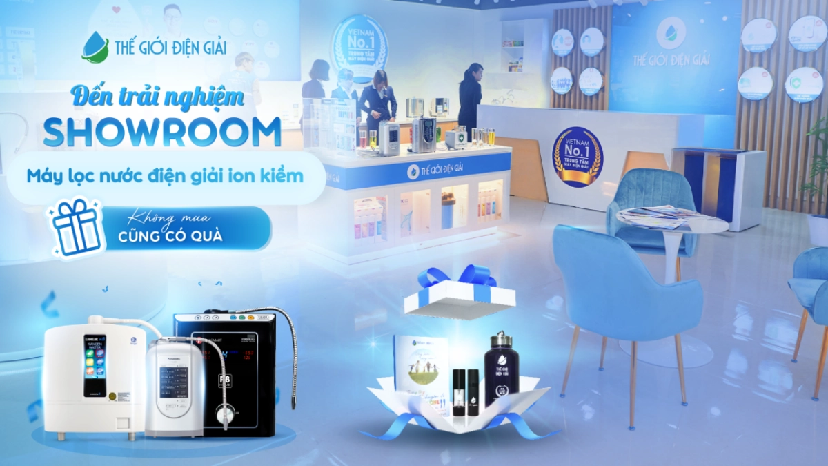 showroom-the-gioi-dien-giai