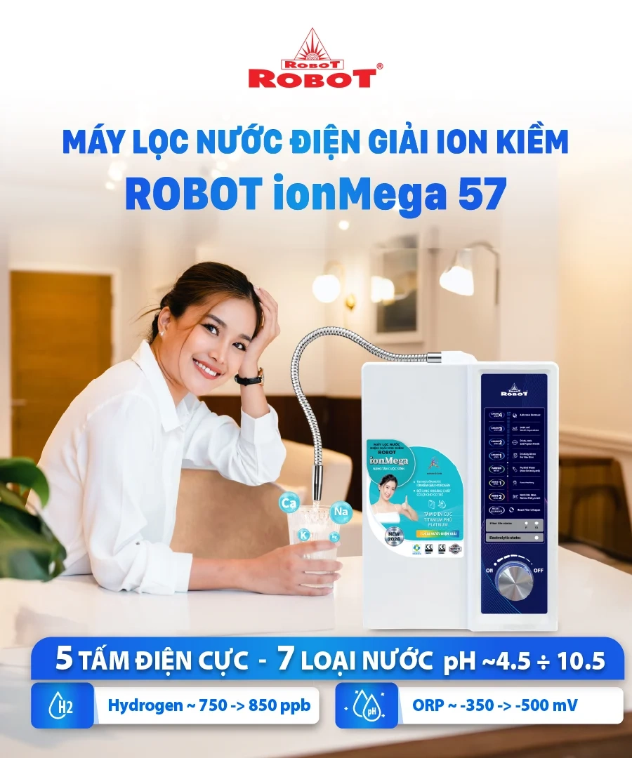 SOF-2025-01519 - Robot ionMega57