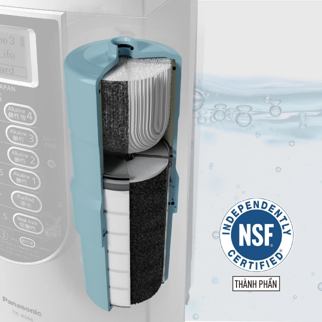 SOF-2025-01519-loiloc