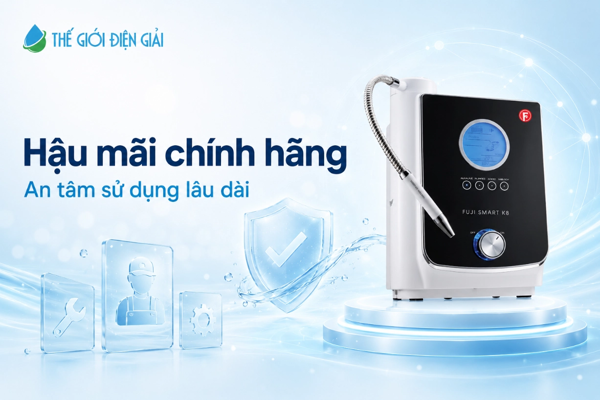 hau-mai-chinh-hang-SOF-2026-00890