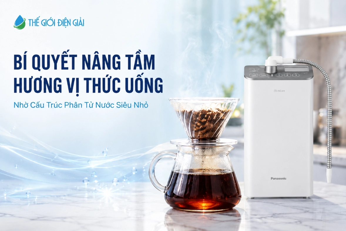 nang-tam-huong-vi-thuc-uong-SOF-2026-00890