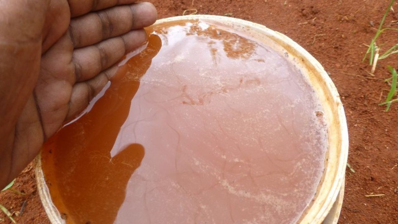 Cách nhận biết nước nhiễm phèn