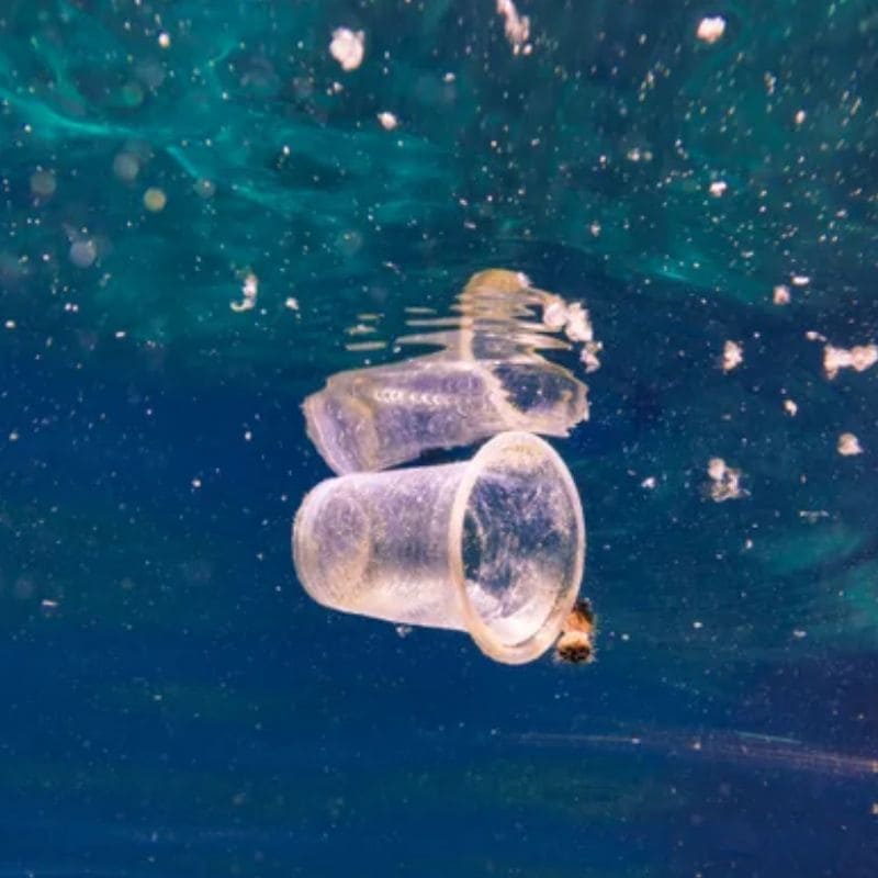 Nguồn gốc của hạt vi nhựa xuất hiện trong nước thường bắt đầu từ rác thải