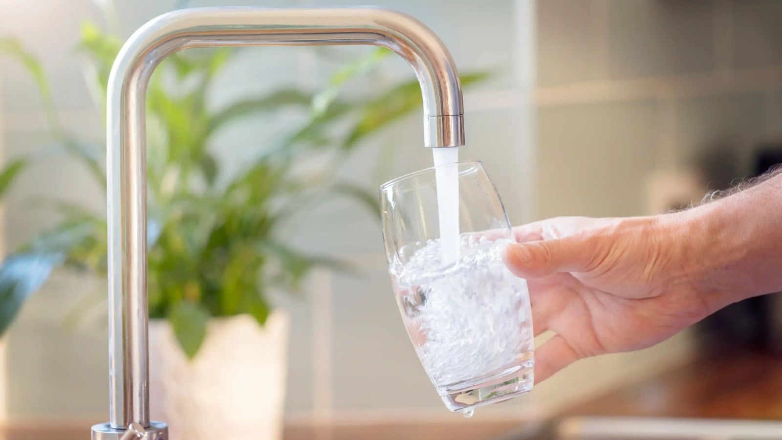 Nước máy liệu có đủ sạch cho việc sử dụng hằng ngày không?