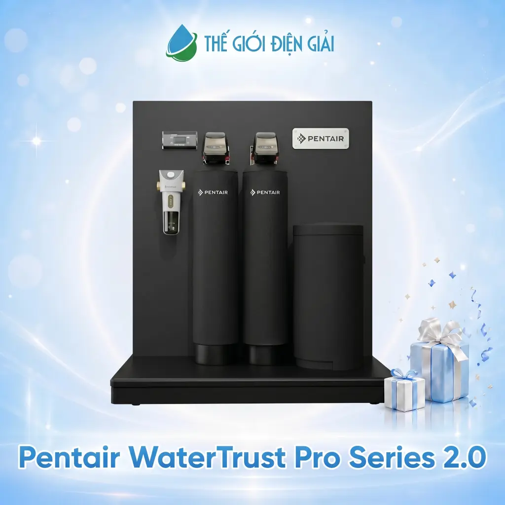 Hệ Thống Lọc Tổng Pentair WaterTrust Pro Series 2.0