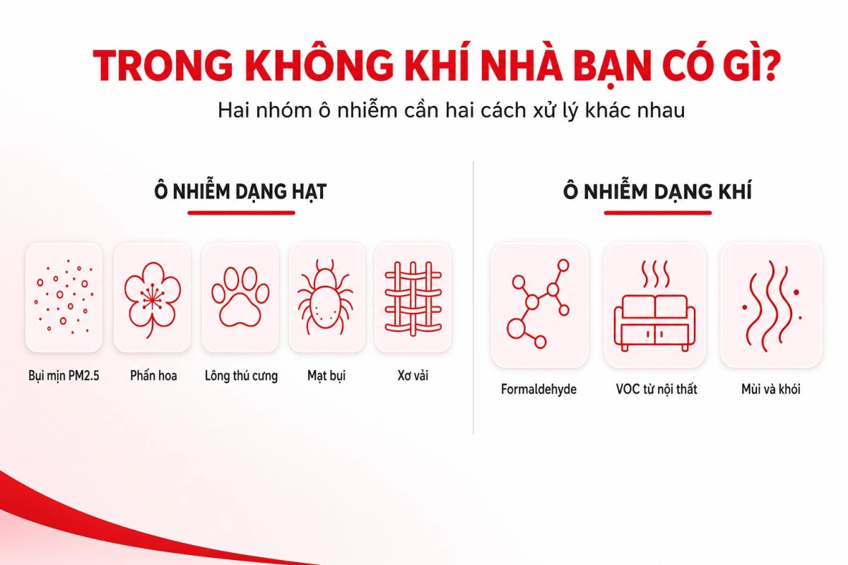 Các loại ô nhiễm trong nhà: bụi mịn PM2.5, phấn hoa, lông thú, mạt bụi, formaldehyde và VOC