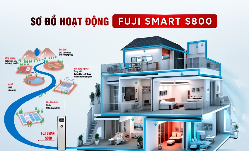 [COBEL-6] - Inforgraphic Fuji Smart S800 fix-19