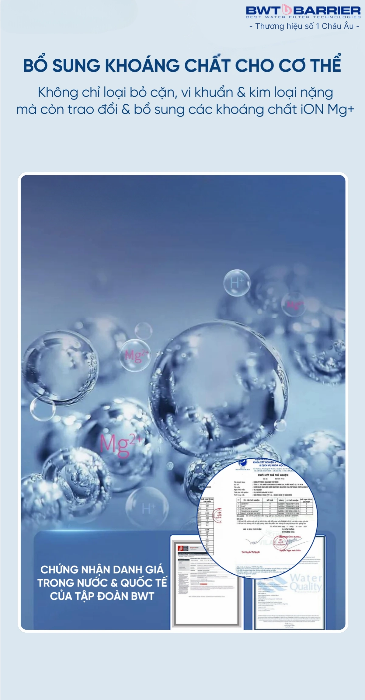 mô tả bwt art ai-2