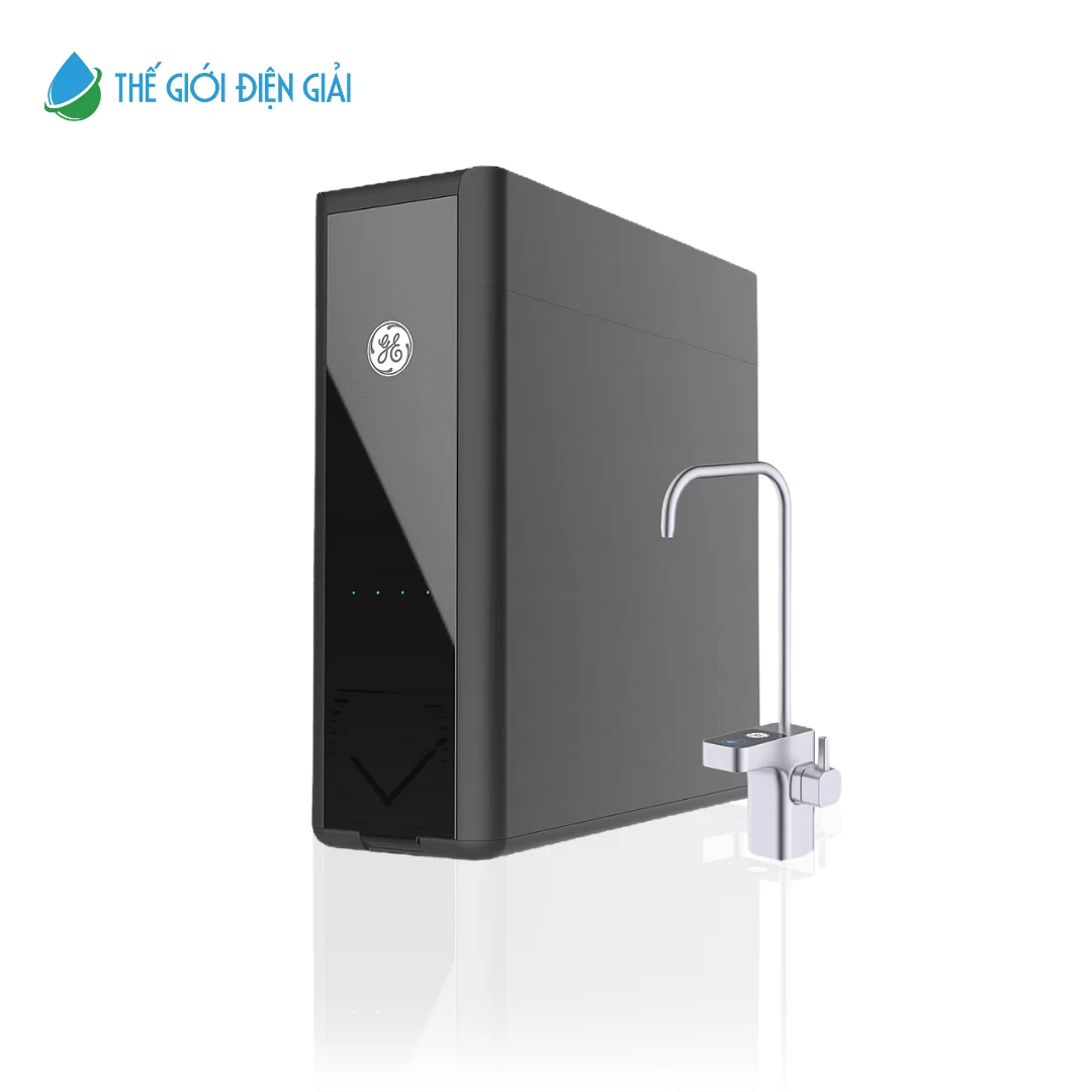 Máy lọc nước giữ khoáng 2 dòng GE DN810