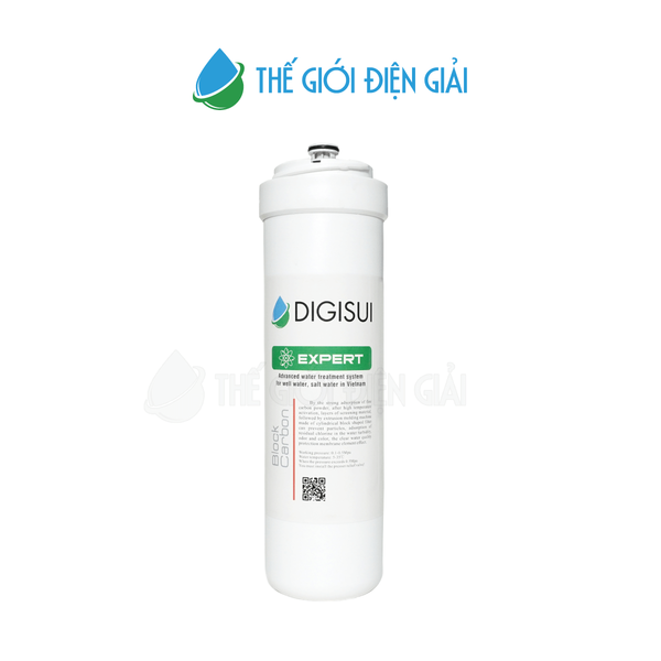 Digisui-Expert-12