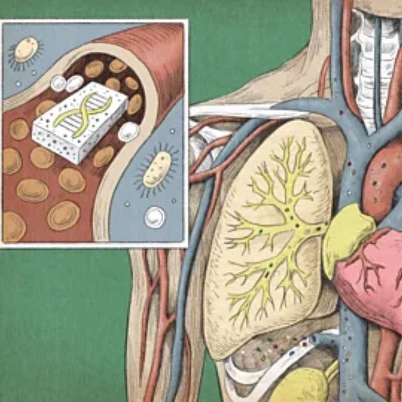 Tác hại của vi nhựa đối với cơ thể người