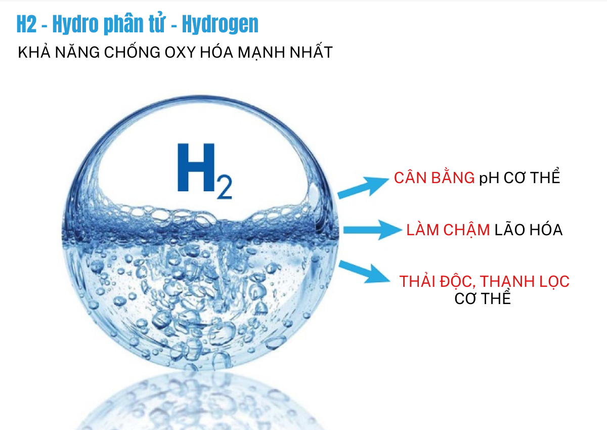 phan-tu-hydro-1.png